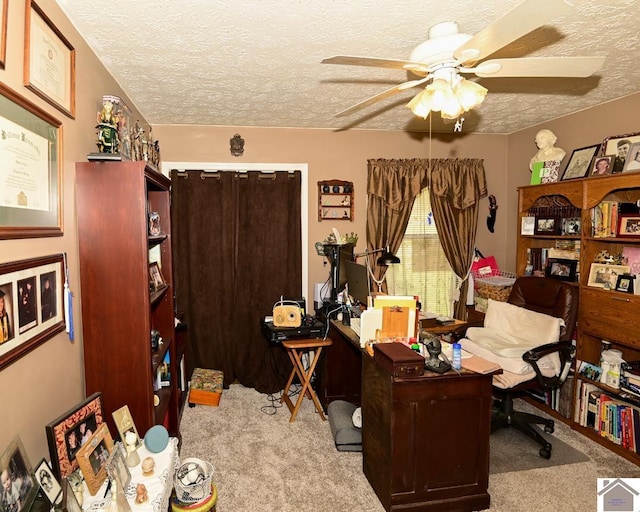 250 Jan Ann Dr, Paducah, KY 42003 - home office with carpet, a textured ceiling, and ceiling fan