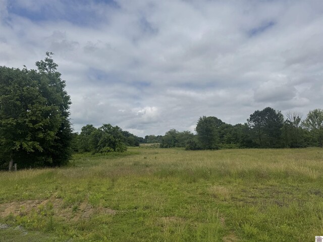 0 Dooms Chapel Rd, Symsonia, KY 42082
