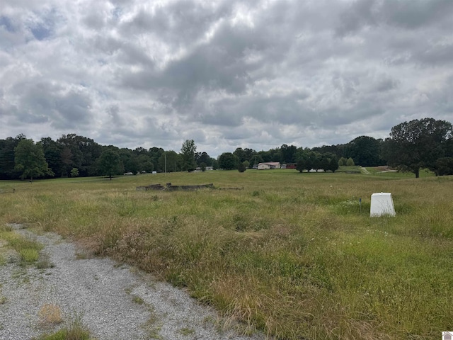 0 Dooms Chapel Rd, Symsonia, KY 42082