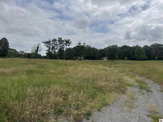 0 Dooms Chapel Rd, Symsonia, KY 42082