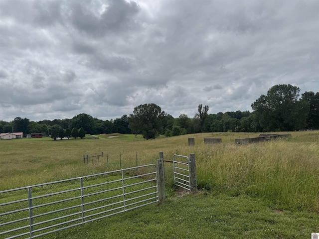 0 Dooms Chapel Rd, Symsonia, KY 42082