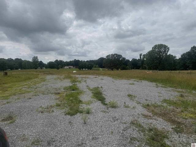 0 Dooms Chapel Rd, Symsonia, KY 42082