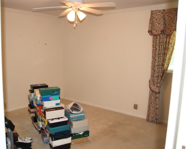156 Albany, Paducah, KY 42003 - carpeted empty room featuring ceiling fan, ornamental molding, and baseboards