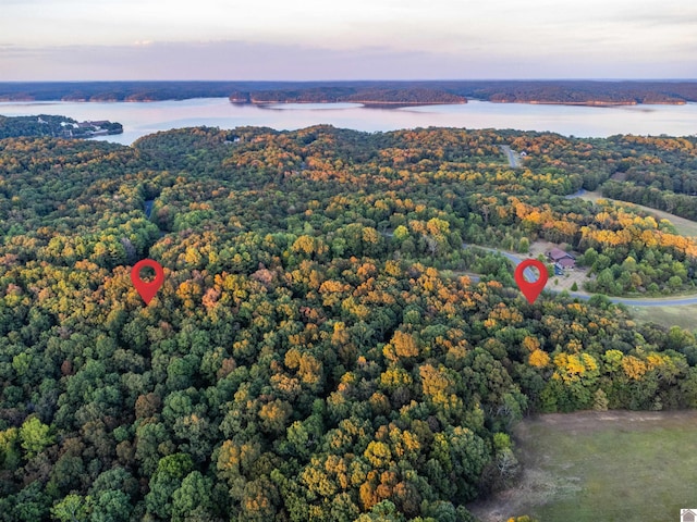 LOT80 Waterfowl, Murray, KY 42071