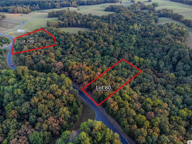 LOT80 Waterfowl, Murray, KY 42071