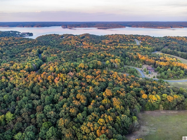 LOT80 Waterfowl, Murray, KY 42071