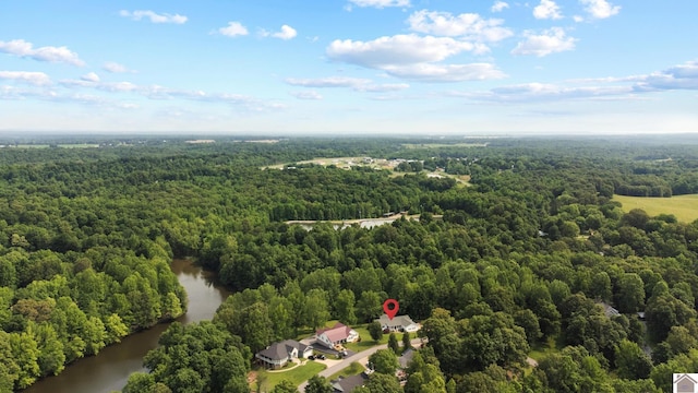68 Lazy K Ln, Kuttawa, KY 42055 - drone / aerial view of a forest and a large body of water