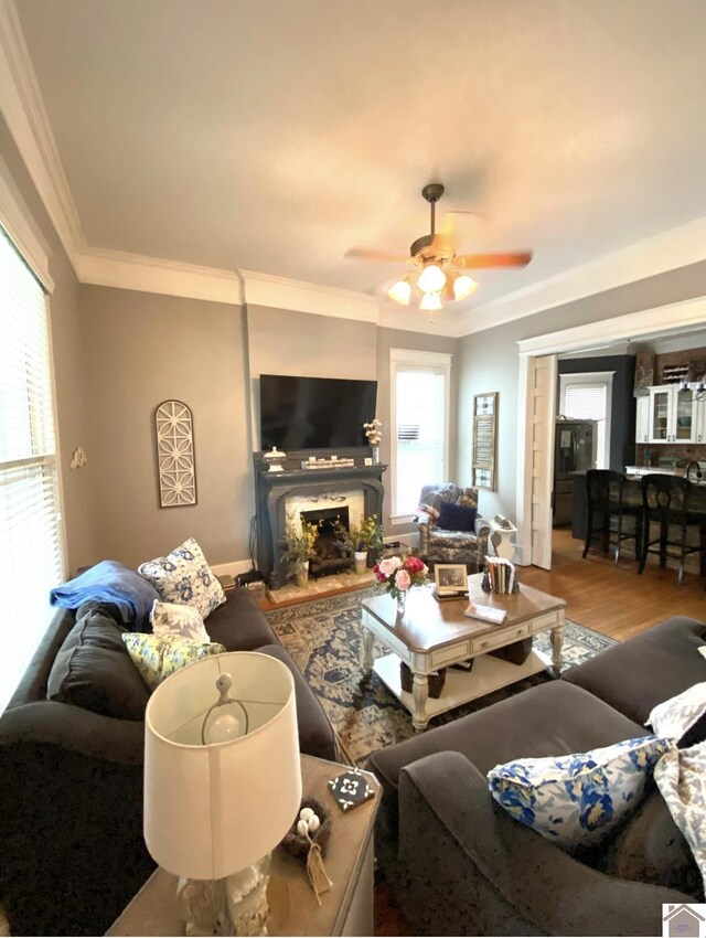 1722 Jefferson St, Paducah, KY 42001 - living room featuring ornamental molding, a ceiling fan, wood finished floors, and a fireplace