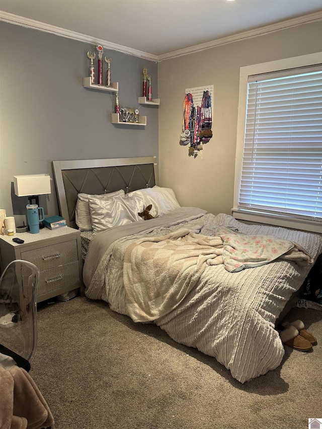 260 Riverside Dr, Paducah, KY 42003 - carpeted bedroom featuring crown molding