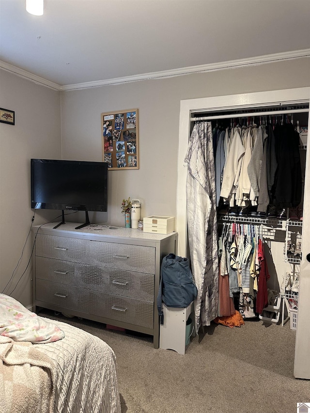 260 Riverside Dr, Paducah, KY 42003 - bedroom featuring ornamental molding and carpet flooring