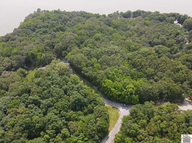 LOT40 Mimosa Ct, Cadiz, KY 42211