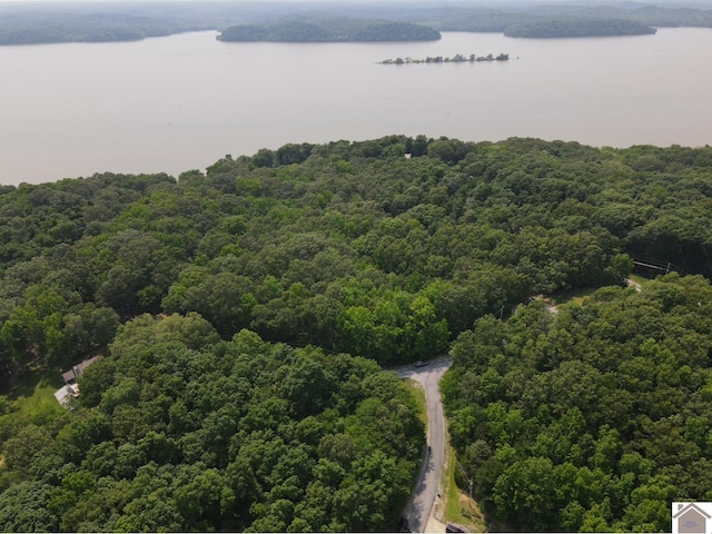 LOT40 Mimosa Ct, Cadiz, KY 42211