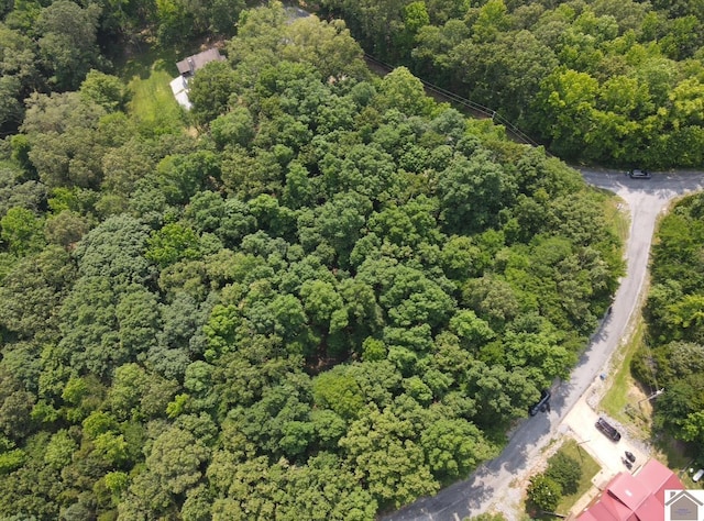 LOT40 Mimosa Ct, Cadiz, KY 42211