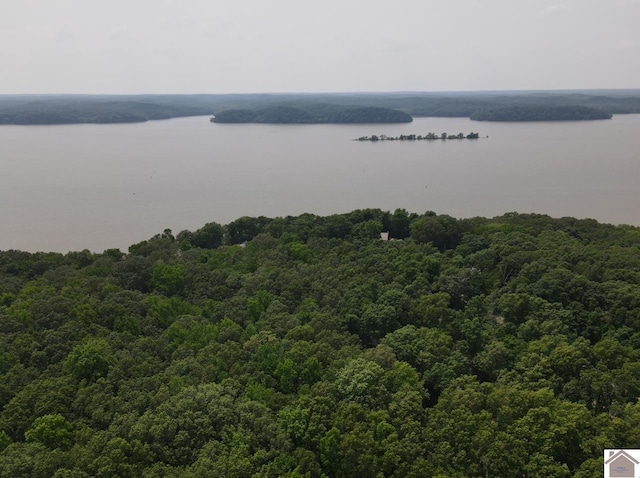 LOT40 Mimosa Ct, Cadiz, KY 42211