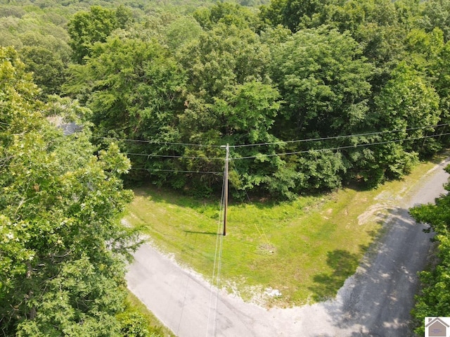 LOT40 Mimosa Ct, Cadiz, KY 42211