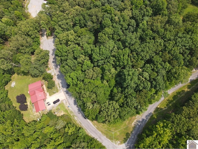 LOT40 Mimosa Ct, Cadiz, KY 42211