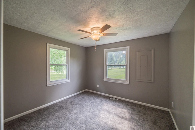 9740 Crotzer Rd, West Paducah, KY 42086 - empty room featuring healthy amount of natural light, carpet flooring, a ceiling fan, a textured ceiling, and baseboards