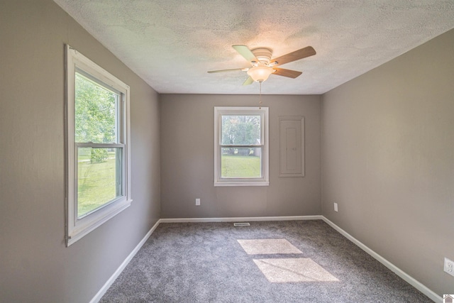 9740 Crotzer Rd, West Paducah, KY 42086 - carpeted empty room featuring healthy amount of natural light, a textured ceiling, a ceiling fan, and baseboards