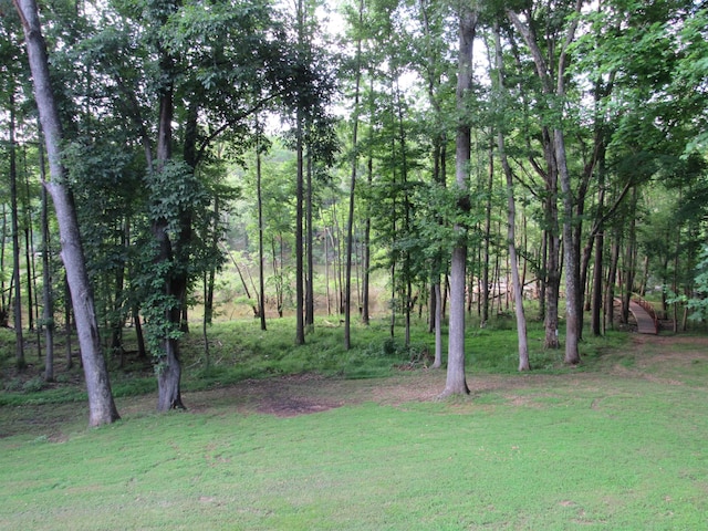 144 Canton Heights 2 Cir, Cadiz, KY 42211 - view of green lawn