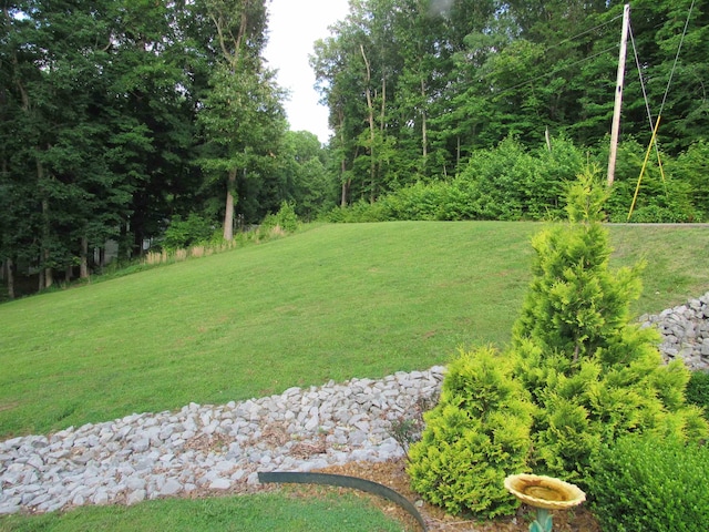 144 Canton Heights 2 Cir, Cadiz, KY 42211 - view of grassy yard