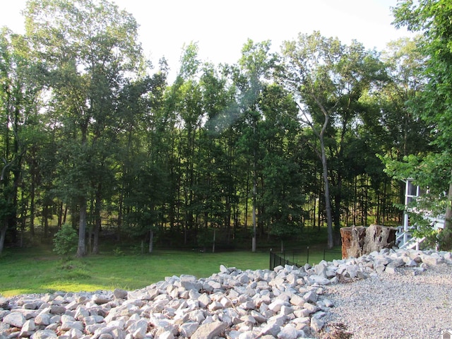 144 Canton Heights 2 Cir, Cadiz, KY 42211 - view of yard