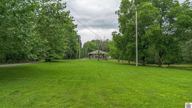3561 Beal, Hardin, KY 42048 - view of grassy yard