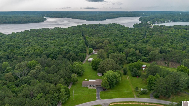 3561 Beal, Hardin, KY 42048 - drone / aerial view of a forest and a large body of water