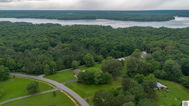3561 Beal, Hardin, KY 42048 - bird's eye view of a forest and a large body of water