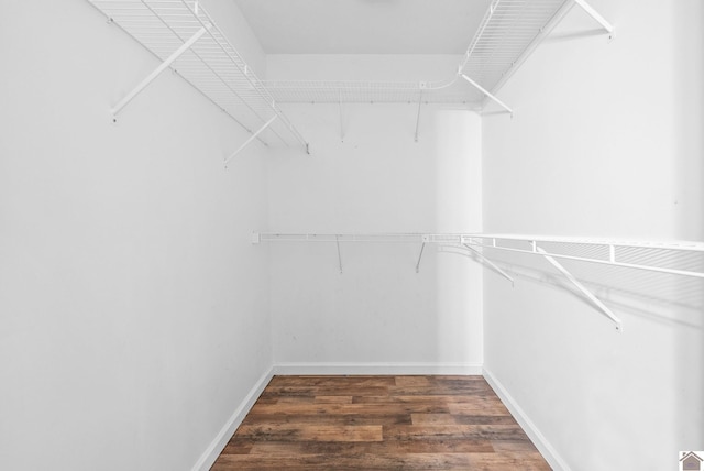 332 Meadowbrook, Cadiz, KY 42211 - spacious closet with wood finished floors