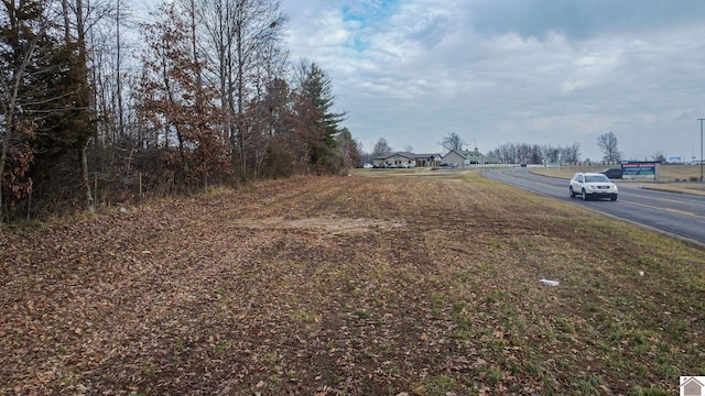 2549 New Holt Rd, Paducah, KY 42001