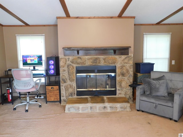 920 State Route 506, Marion, KY 42064 - living room featuring carpet floors, plenty of natural light, and a stone fireplace