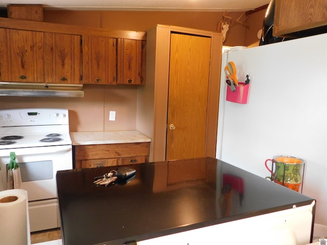 920 State Route 506, Marion, KY 42064 - kitchen featuring white electric range oven, range hood, and brown cabinetry