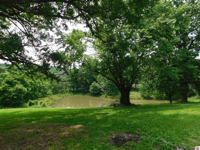 920 State Route 506, Marion, KY 42064 - view of green lawn featuring a water view