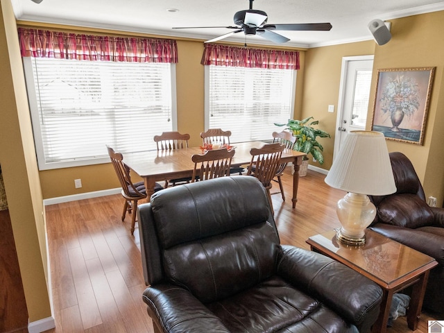 2488 Cypress Trl, New Concord, KY 42076 - living room featuring a ceiling fan, crown molding, healthy amount of natural light, and light wood-style flooring