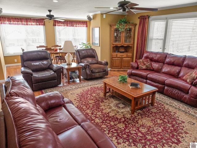 2488 Cypress Trl, New Concord, KY 42076 - living area featuring a ceiling fan, wood finished floors, and healthy amount of natural light