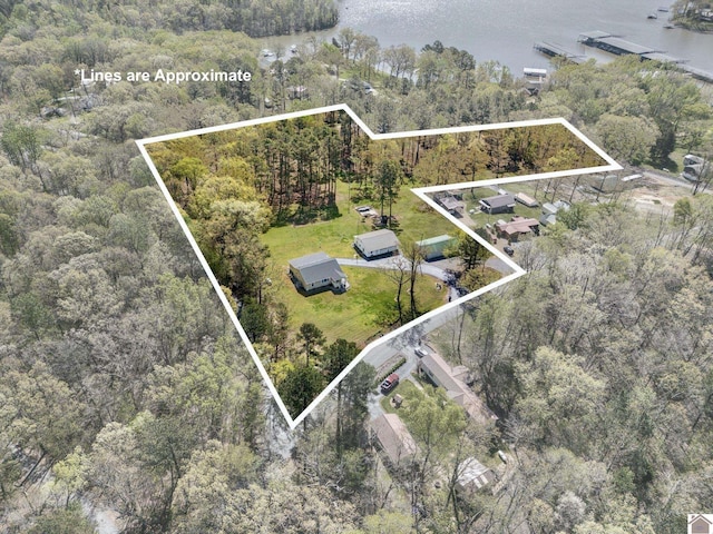2488 Cypress Trl, New Concord, KY 42076 - aerial view of property's location featuring a nearby body of water and property boundaries highlighted
