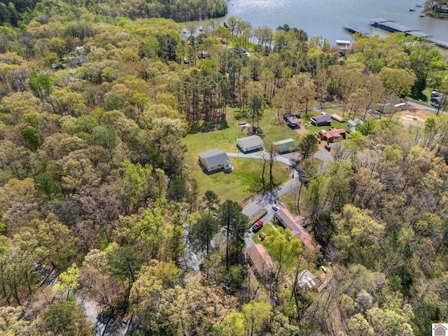 2488 Cypress Trl, New Concord, KY 42076 - aerial view of property's location featuring a forest and a nearby body of water