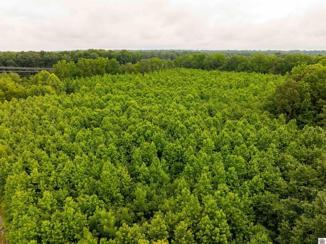 2160 Oaks, Paducah, KY 42003