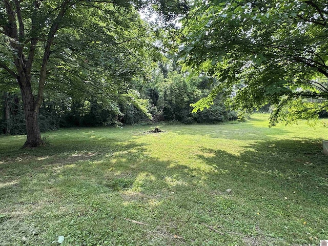 67 Beshear Ln, Princeton, KY 42445 - view of green lawn with a wooded view