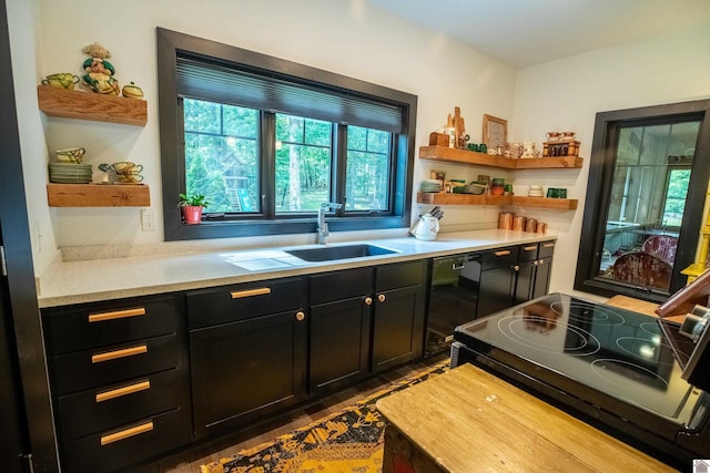 3431 Irvin Cobb Rd, Murray, KY 42071 - kitchen with open shelves, black range with electric cooktop, healthy amount of natural light, and dark cabinets
