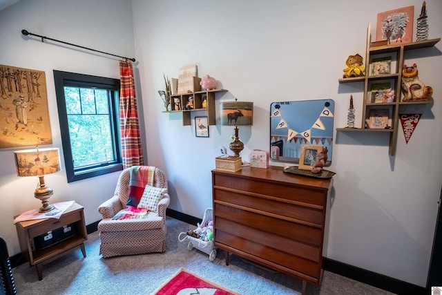 3431 Irvin Cobb Rd, Murray, KY 42071 - living area with carpet