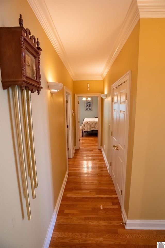 129 Wayne Cir, New Concord, KY 42076 - hallway with light wood-style flooring and ornamental molding