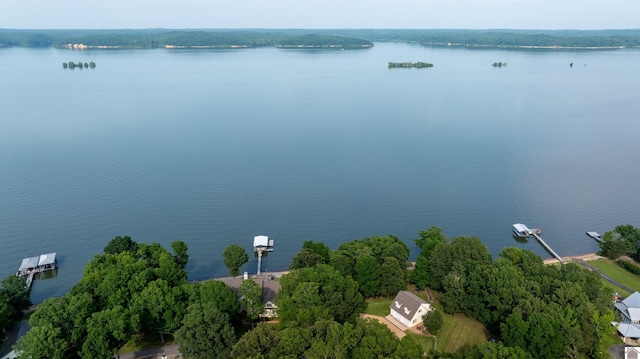 129 Wayne Cir, New Concord, KY 42076 - drone / aerial view of a nearby body of water