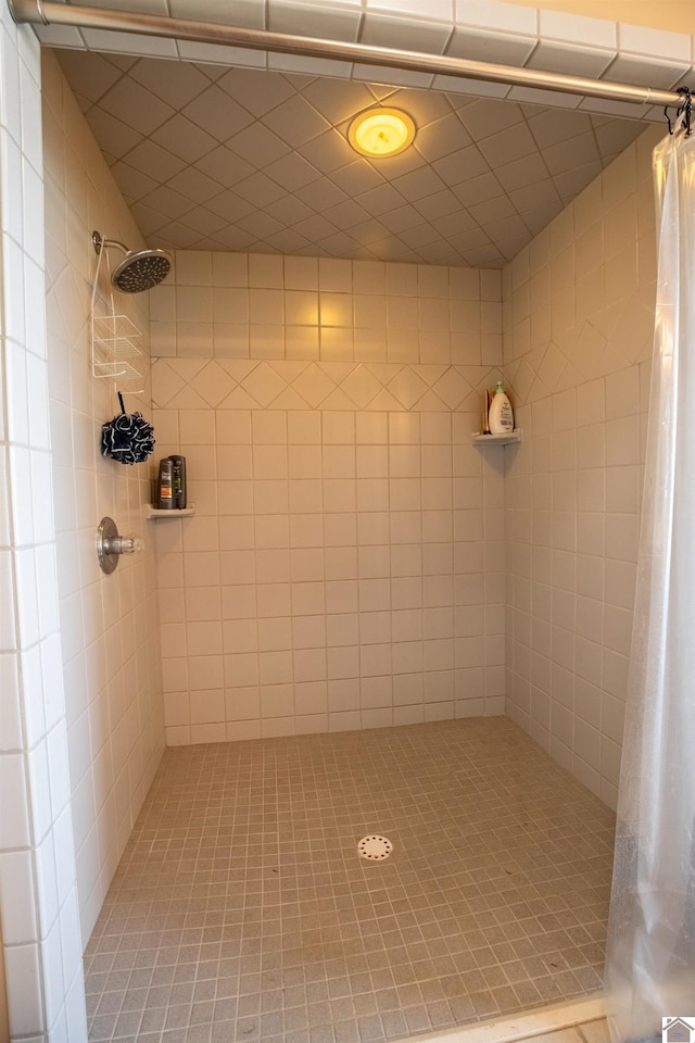 129 Wayne Cir, New Concord, KY 42076 - full bath with a tile shower