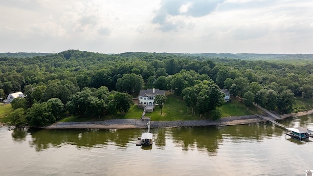129 Wayne Cir, New Concord, KY 42076 - view from above of property with a large body of water and a heavily wooded area