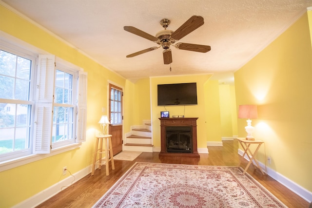 2567 Clay St, Paducah, KY 42001 - living room featuring wood finished floors, a fireplace, and ceiling fan