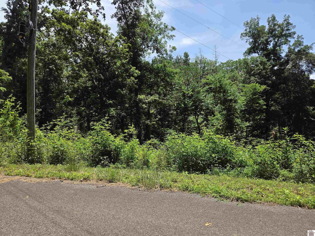 LOT68/69 Baker Ln, Cadiz, KY 42211