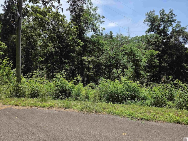 LOT68/69 Baker Ln, Cadiz, KY 42211