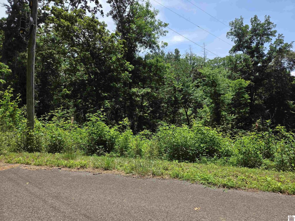 LOT68/69 Baker Ln, Cadiz, KY 42211