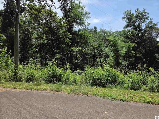 LOT68/69 Baker Ln, Cadiz, KY 42211